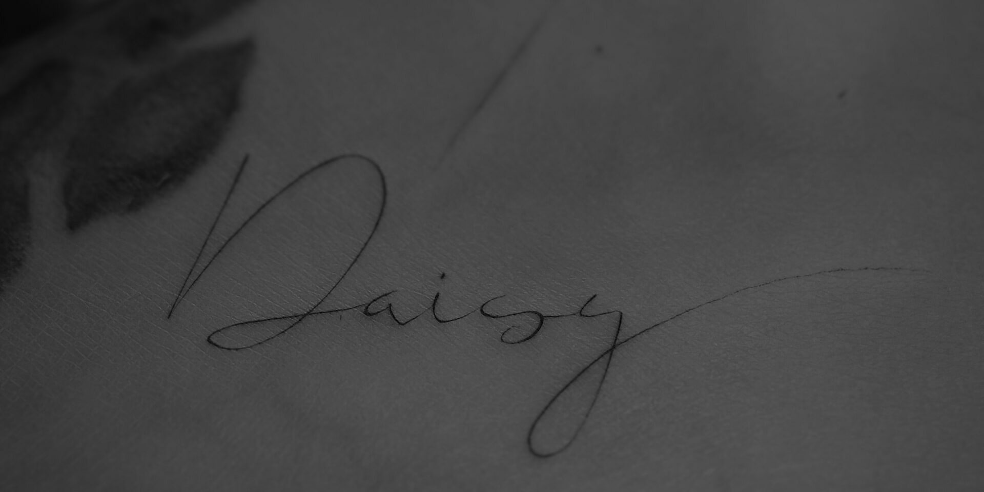 Tatuaż kaligraficzny, imię Daisy
